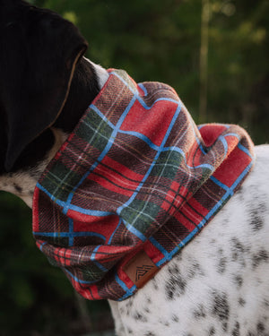 Merrywood Scarf