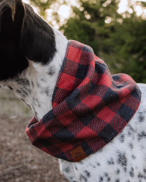 Fireside Scarf