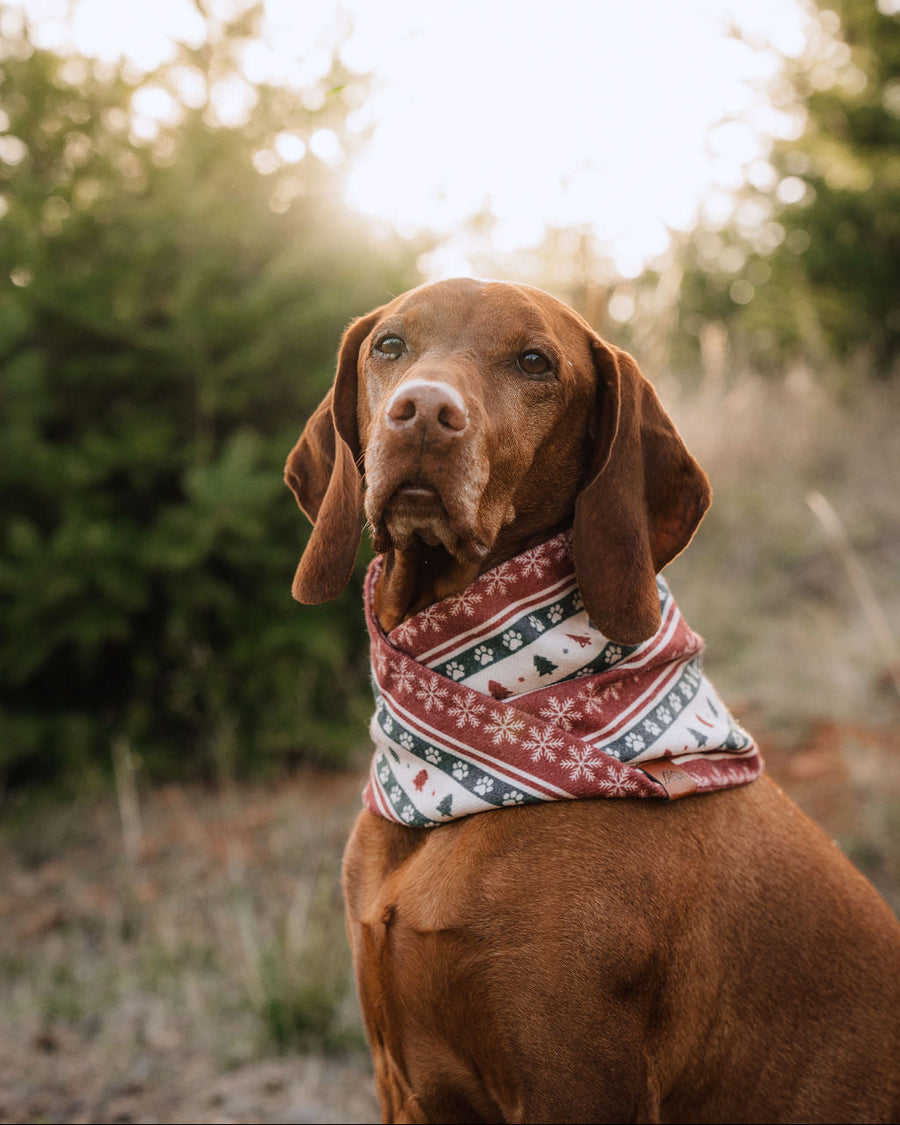 A Scarf That Stays On
