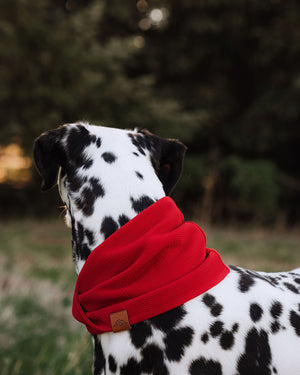 Cardinal Waffle Scarf