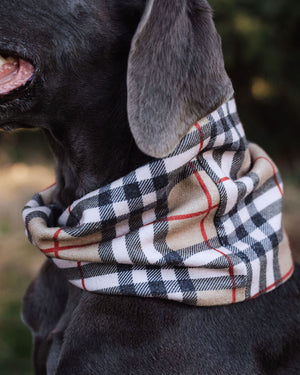 Chestnut Scarf