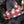 Winterberry Scarf