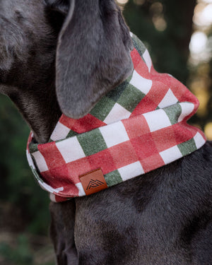 Winterberry Scarf