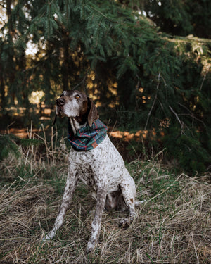 Woodland Scarf