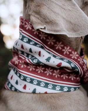 Merry Little Hound