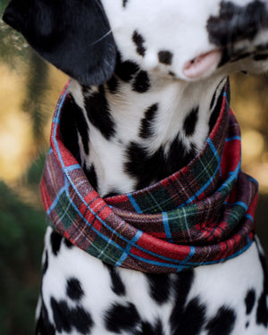 Merrywood Scarf
