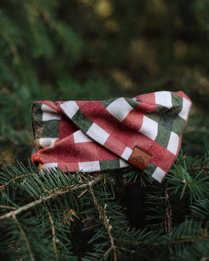Winterberry Scarf