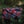 Merrywood Scarf