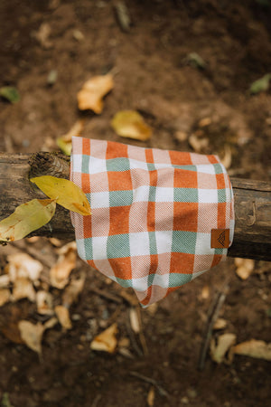 Cider Scarf