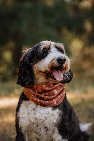 Forage Scarf