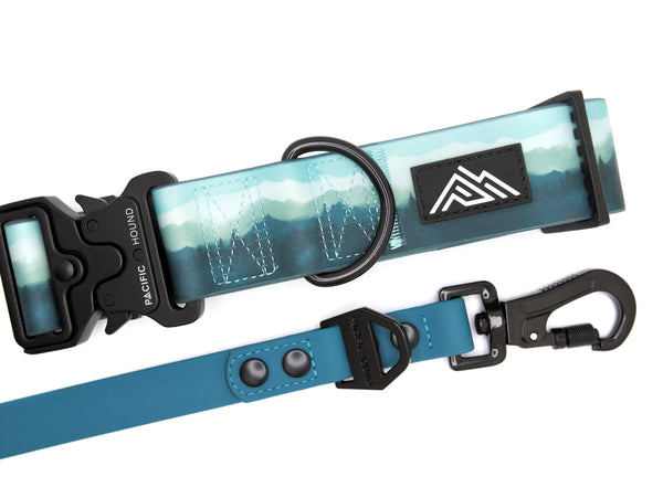 Odyssey Leash | Teal