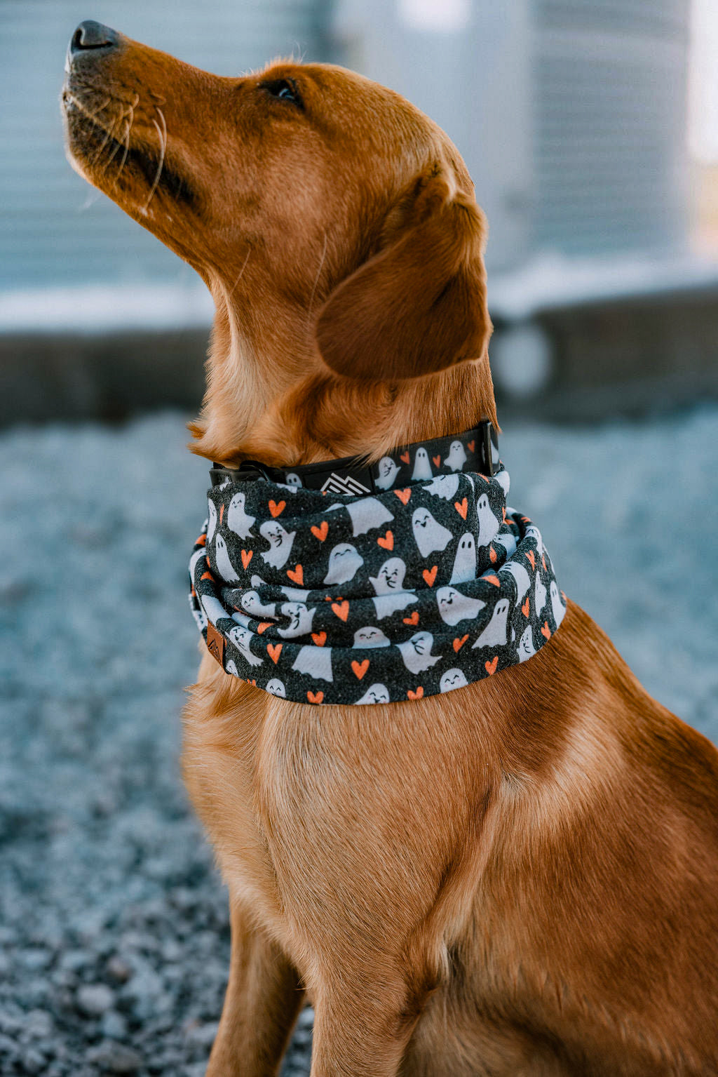 Boo Crew Scarf