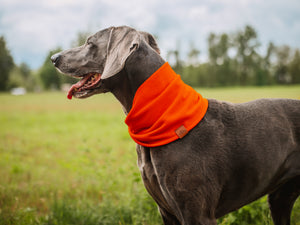 Blaze Waffle Scarf