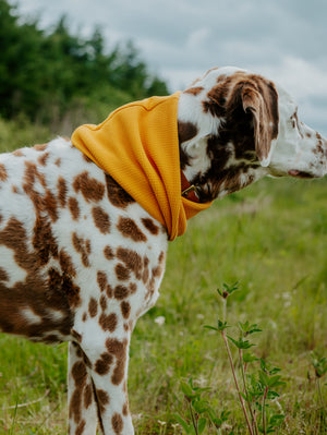 Mustard Waffle Scarf