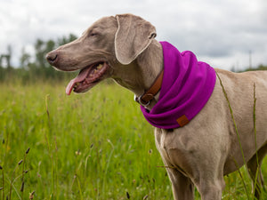 Violet Waffle Scarf