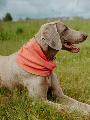 Coral Waffle Scarf