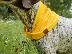 Sunny Days Waffle Scarf