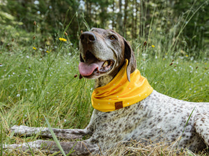Sunny Days Waffle Scarf