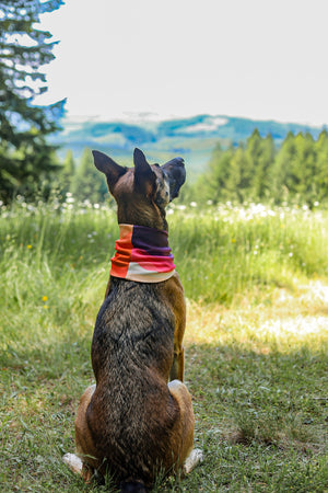 Alpenglow Waffle Scarf
