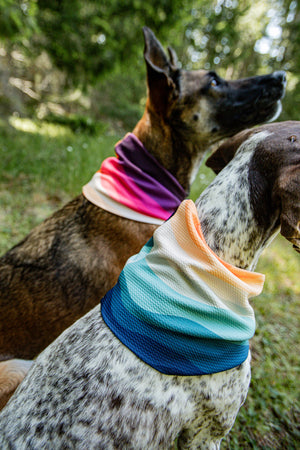 Pacific Tide Waffle Scarf