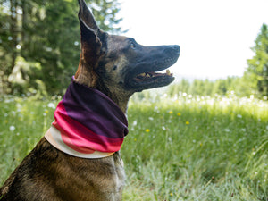 Alpenglow Waffle Scarf