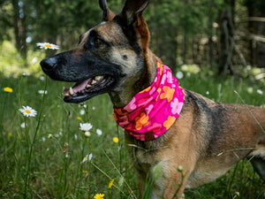 Stay Wild & Love Loud Waffle Scarf