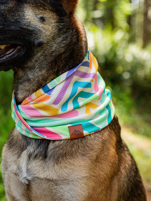 Painted Pride Waffle Scarf