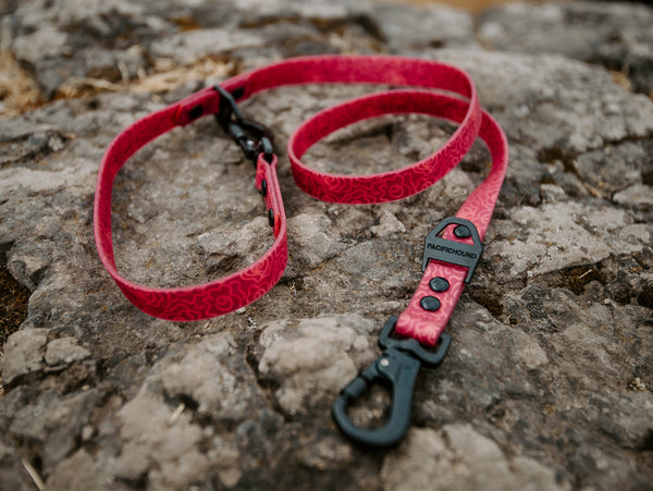 Odyssey Leash Pre-Order