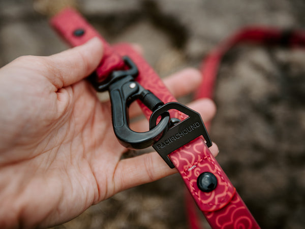 Odyssey Leash | Black