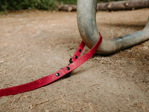 Odyssey Leash | Wine