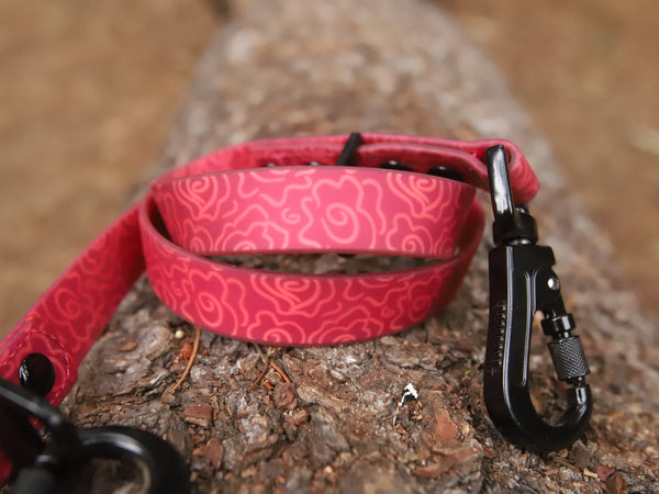 Odyssey Leash Pre-Order