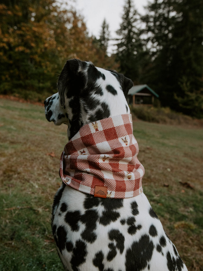 Oh Deer Scarf