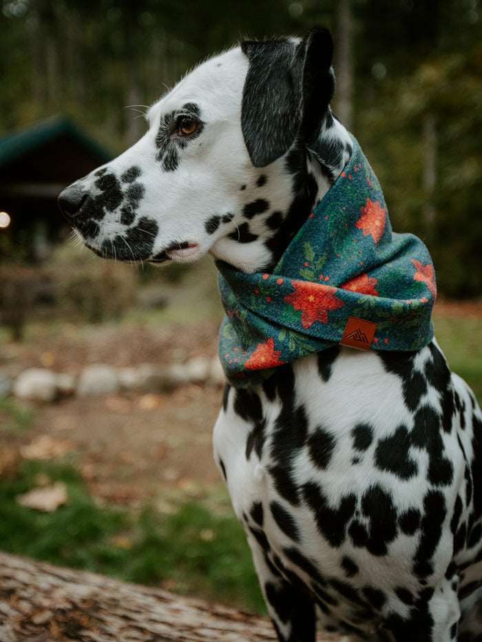 Laurel Scarf