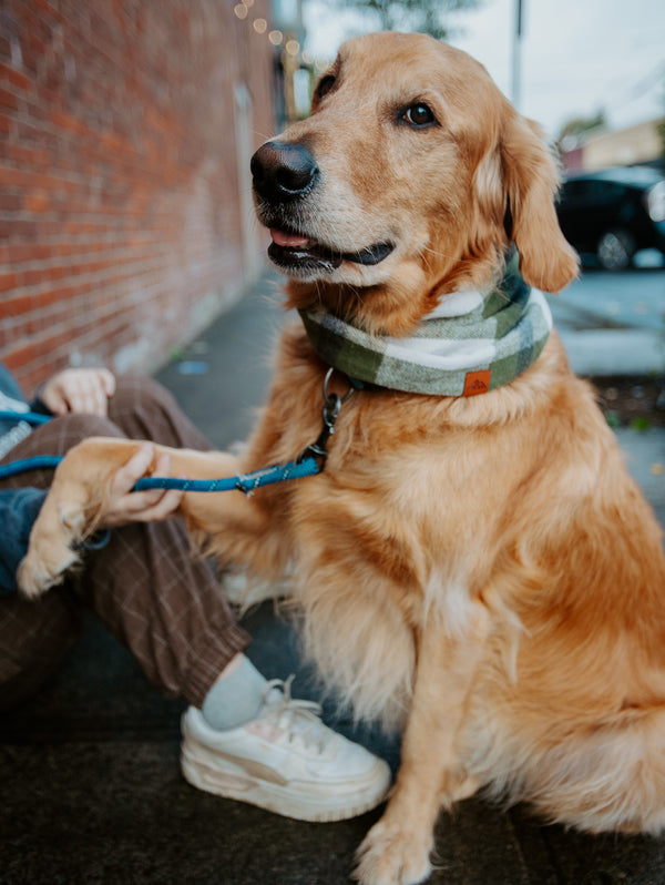 Juniper Scarf