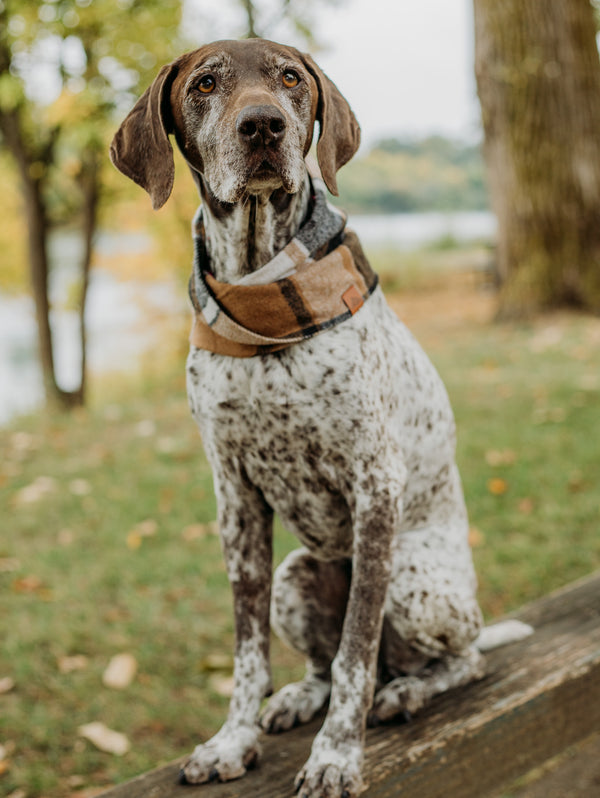 Maple Scarf