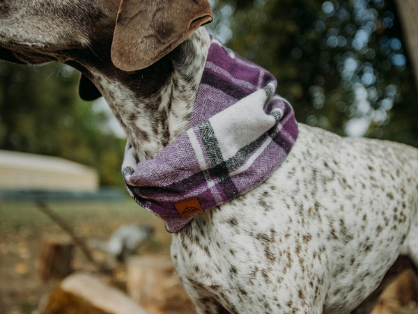 Larkspur Scarf