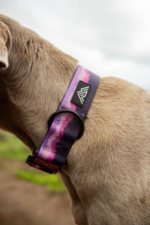 Summit Collar | Astoria