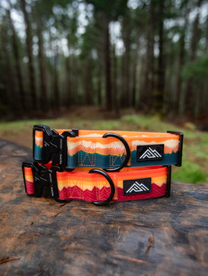 Summit Collar | Cascade