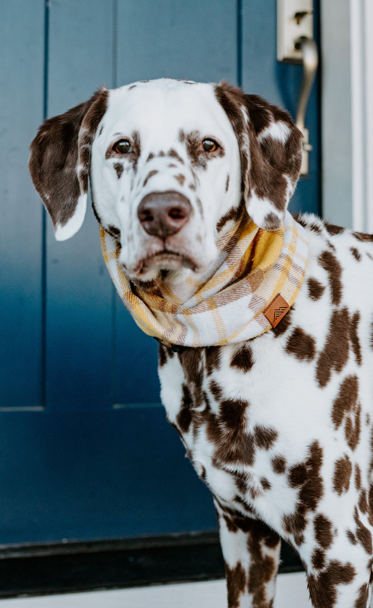 Goldenrod Scarf