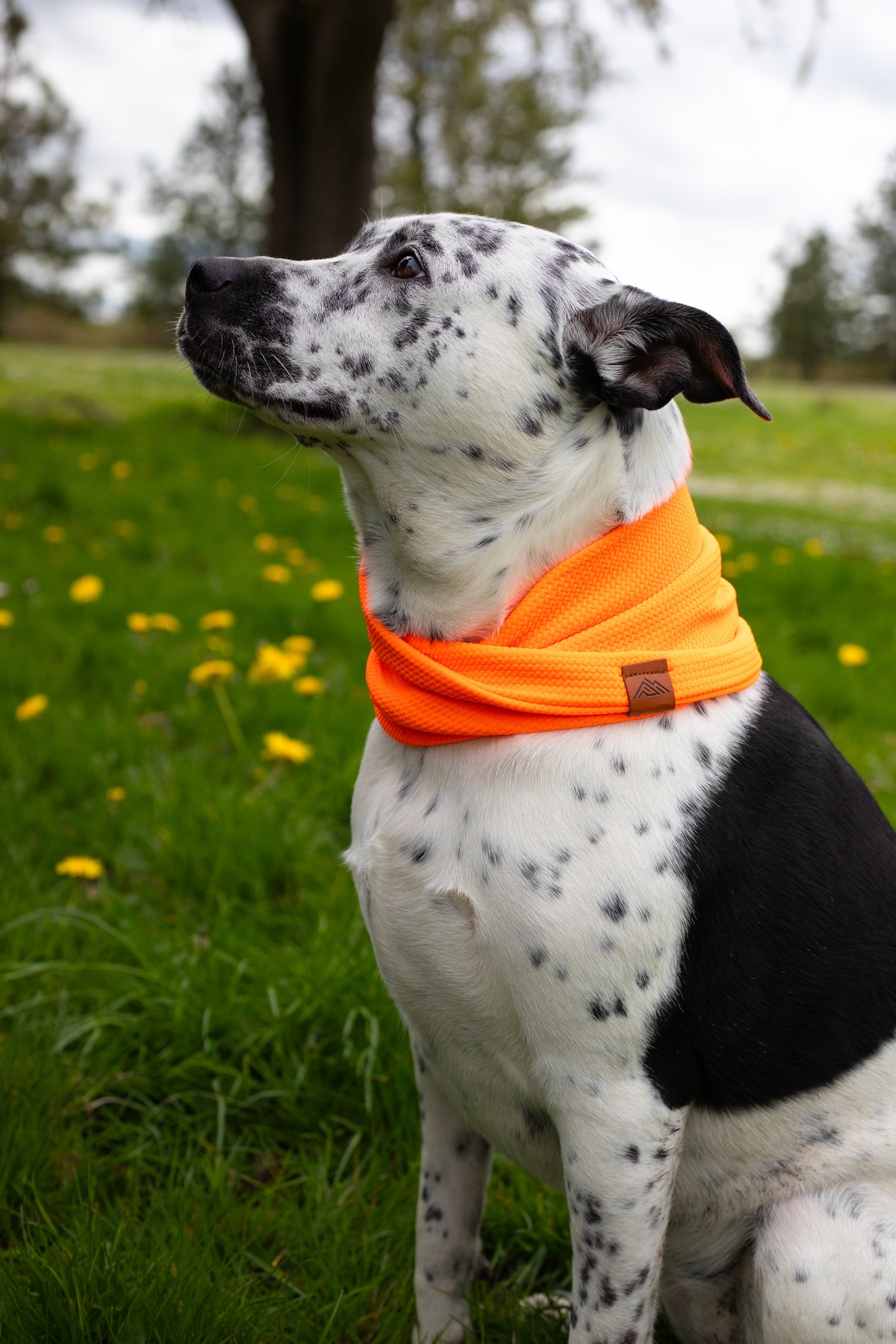 Tangerine Waffle Scarf