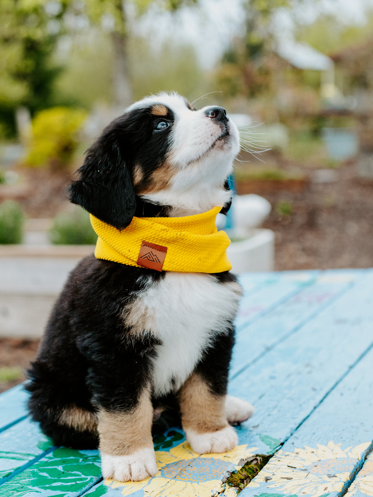 Sunshine Waffle Scarf