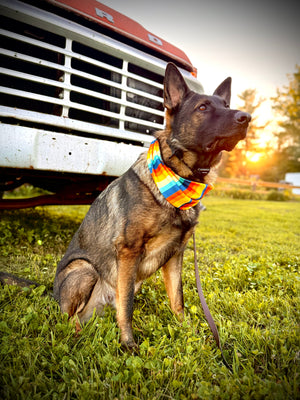 Sun Chaser Waffle Scarf