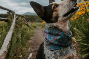 Summit Lines Scarf | Cascades