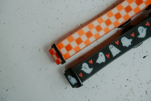 Summit Collar | Pumpkin Patch