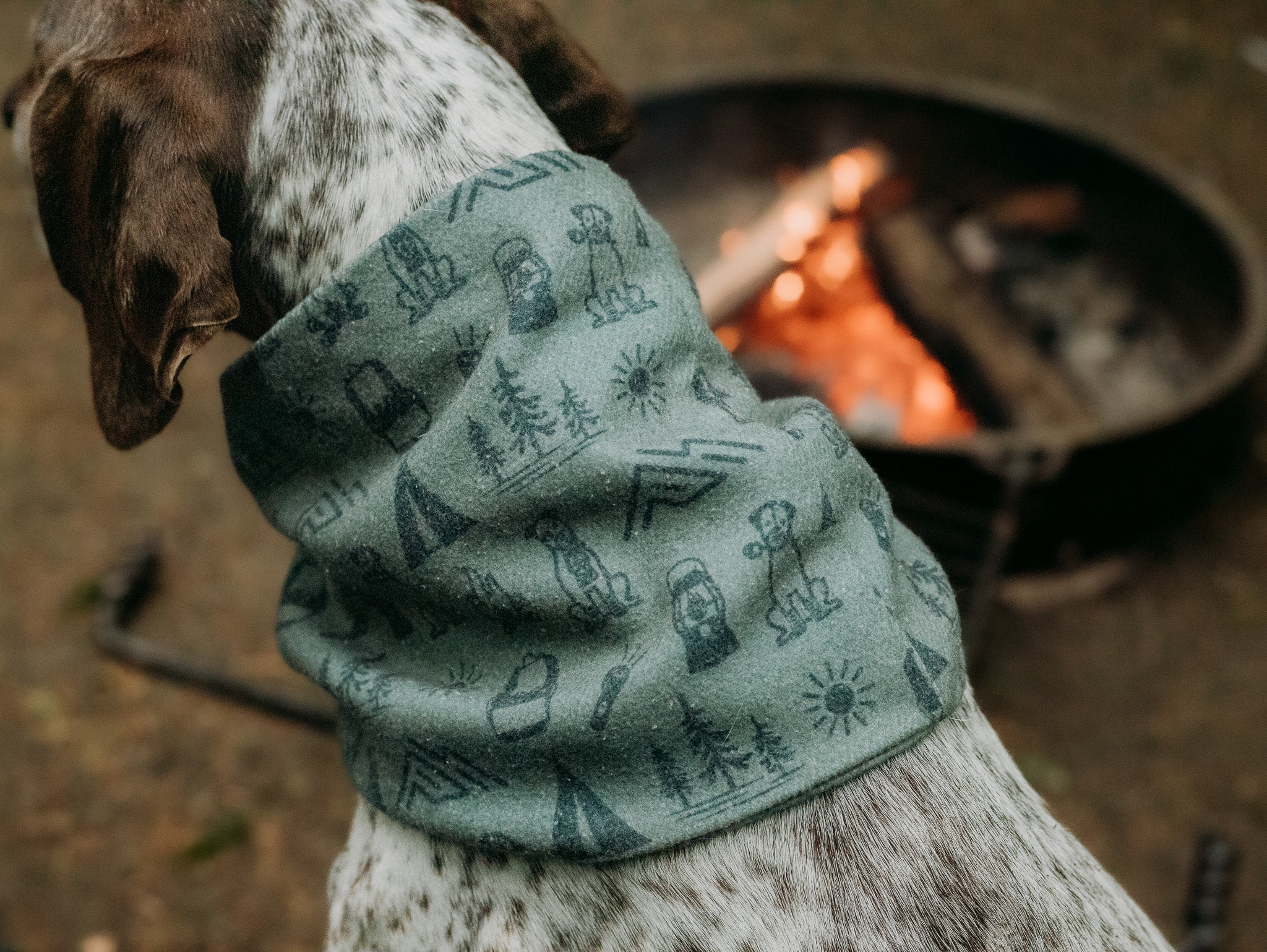 Camp Canine Scarf