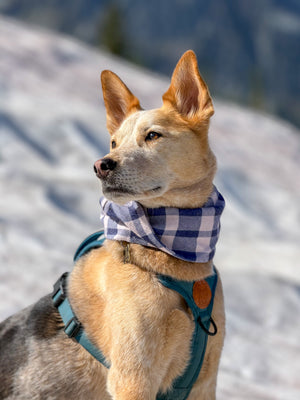 Slate Scarf