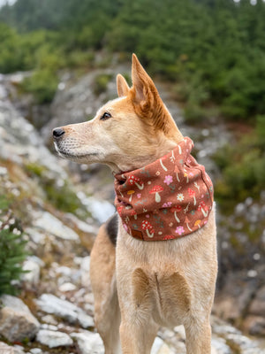 Forage Scarf