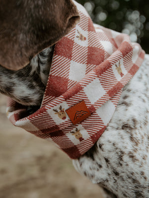 Oh Deer Scarf