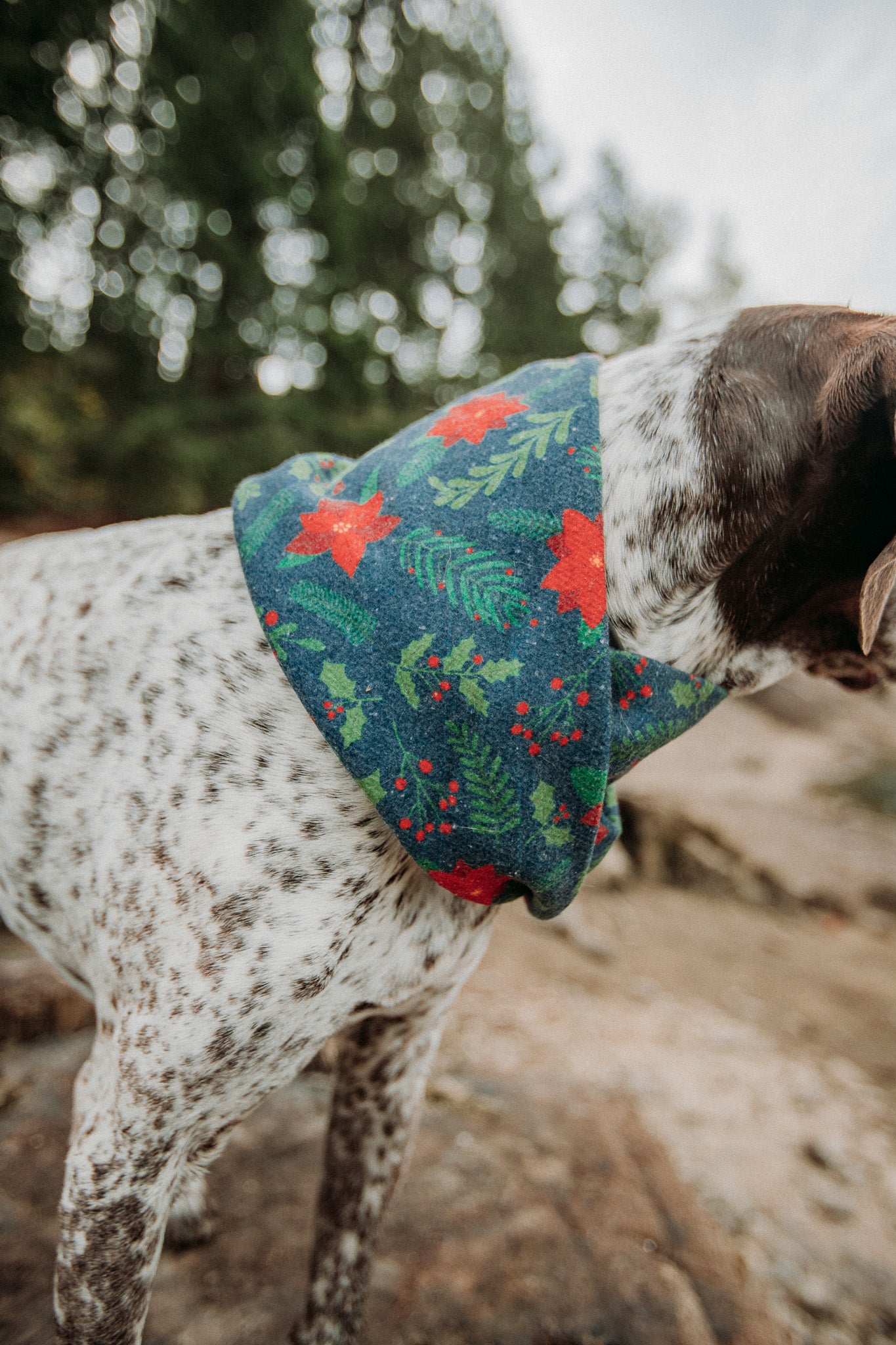 Laurel Scarf