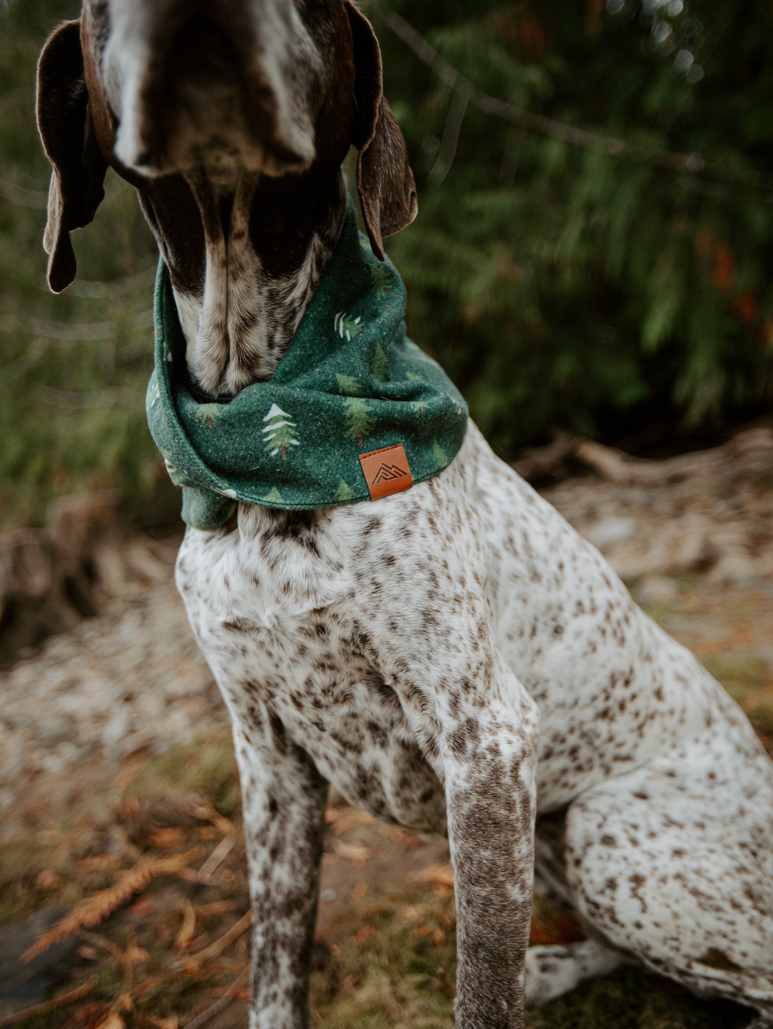 Spruce Scarf
